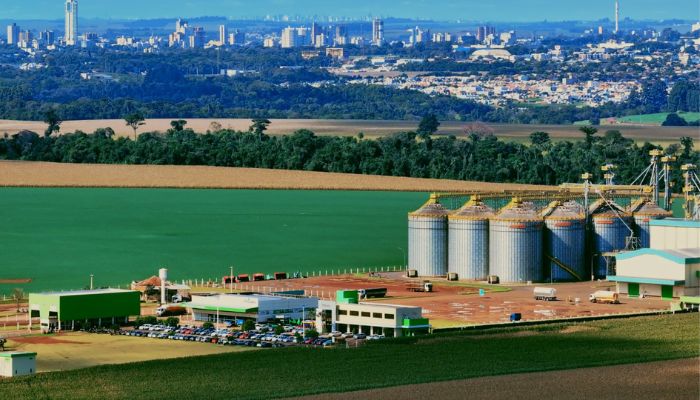 Foto - Assessoria Primato celebra 28 anos de história, conquistas e cooperação no campo
